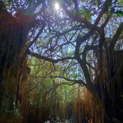 Shoushan (Monkey Mountain) - Kaohsiung