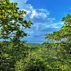 Shoushan (Monkey Mountain) - Kaohsiung