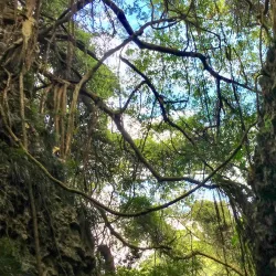Shoushan (Monkey Mountain) - Kaohsiung