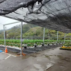 Dahu Strawberry Cultural Center - Miaoli