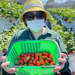 Dahu Strawberry Cultural Center - Miaoli