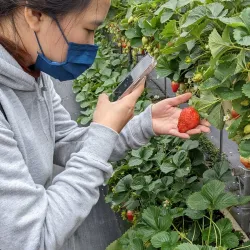 Dahu Strawberry Cultural Center - Miaoli