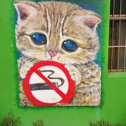 Sanyi Old Street - Miaoli