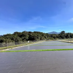 Xiangshan Visitor Center - Miaoli