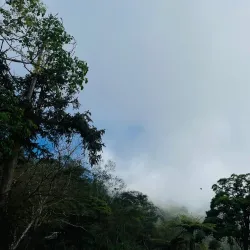 Hiking Trails Around Neipu - Neipu