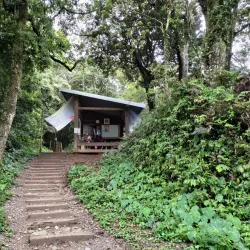 Hiking Trails Around Neipu - Neipu