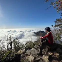 Hiking Trails Around Neipu - Neipu