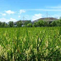 Neipu Riverside Park - Neipu