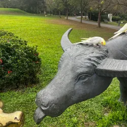 Neipu Riverside Park - Neipu