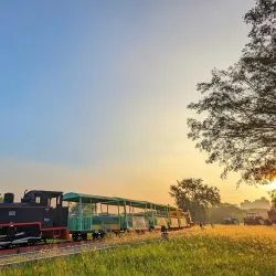 Neipu Sugar Factory - Neipu