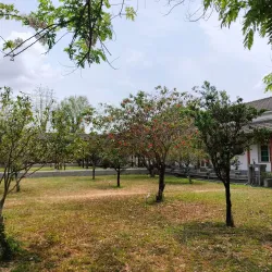 Neipu Sugar Factory - Neipu