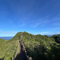 Bitou Cape Trail - New Taipei City