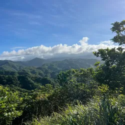 Bitou Cape Trail - New Taipei City