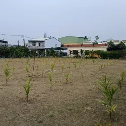 Chaozhou Old Street - Pingtung city