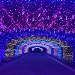 Pingtung Forest Park - Pingtung city