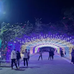 Pingtung Forest Park - Pingtung city