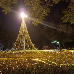 Pingtung Forest Park - Pingtung city