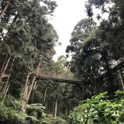 Xitou Nature Education Area - Puli