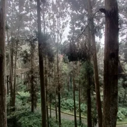 Xitou Nature Education Area - Puli