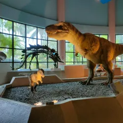 National Museum of Natural Science - Taichung