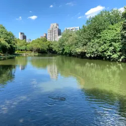 Daan Forest Park - Taipei