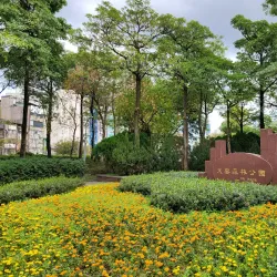 Daan Forest Park - Taipei