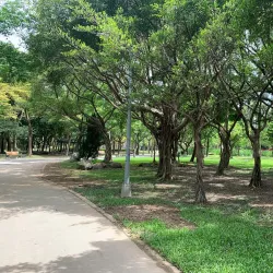 Daan Forest Park - Taipei
