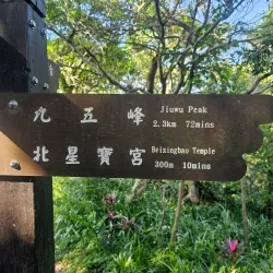 Elephant Mountain (Xiangshan) - Taipei