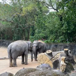 Taipei Zoo - Taipei