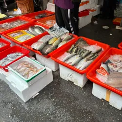 Tou-liu Community Market - Tou-liu