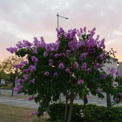 Tou-liu Sports Park - Tou-liu