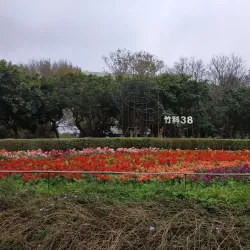 Hsinchu Science Park - Zhubei City