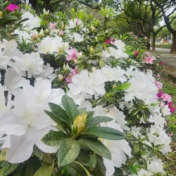 Hsinchu Science Park - Zhubei City