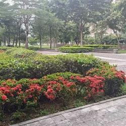 Zhubei Park - Zhubei City