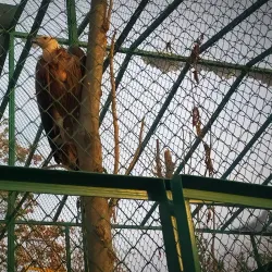 Dushanbe Zoo - Dushanbe