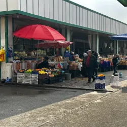 Green Bazaar (Bozori Sabz) - Dushanbe