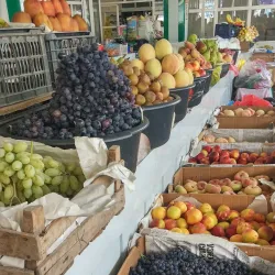 Green Bazaar (Bozori Sabz) - Dushanbe