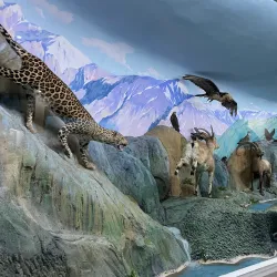 National Museum of Tajikistan - Dushanbe