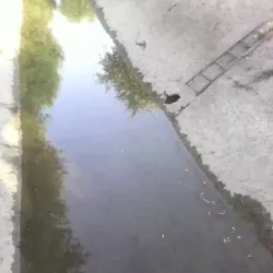 Ghafurov Mosque - Ghafurov