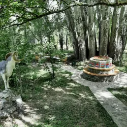 Pamir Botanical Garden - Khorugh