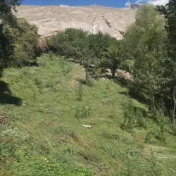 Petroglyphs of the Pamirs - Khorugh
