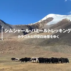 Nearby Pamir Mountains - Proletarsk