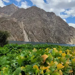 Traditional Tajik Village Experience - Proletarsk