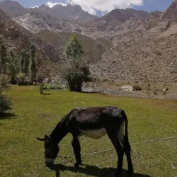 Traditional Tajik Village Experience - Proletarsk