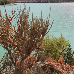 Iskanderkul Lake (Day Trip) - Taboshar