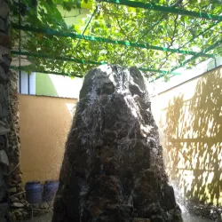 Local Cuisine Experiences - Taboshar