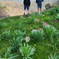Surrounding Mountain Trails - Taboshar
