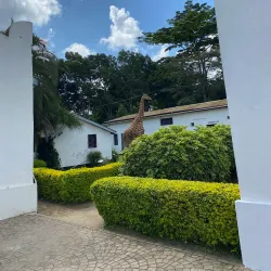 Arusha Declaration Museum - Arusha