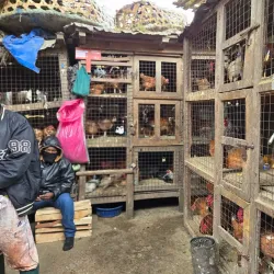 Arusha Market - Arusha