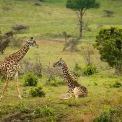 Arusha National Park - Arusha